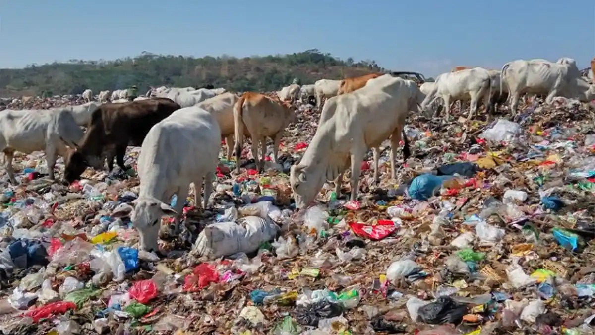DI BALIK GUNUNGAN SAMPAH JATIBARANG: MODEL JATI (JARINGAN EKONOMI SIRKULAR TERINTEGRASI) BERBASIS MASYARAKAT UNTUK MENEKAN TIMBULAN SAMPAH MENUJU SEMARANG BERKELANJUTAN